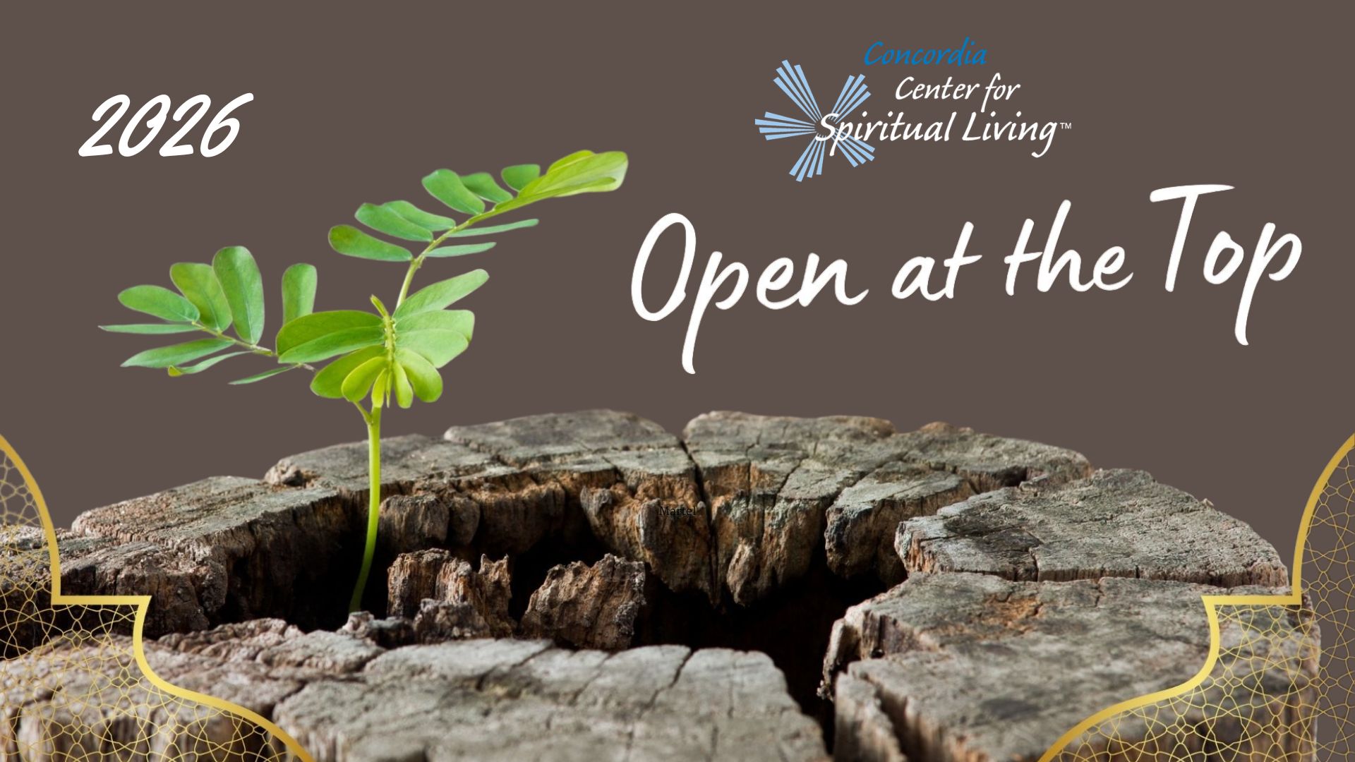 2026 CSL gobal theme